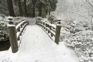 Images Dated 14th December 2008: Snow-covered moon bridge, Portland Japanese Garden, Oregon