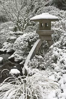 Images Dated 14th December 2008: Snow-covered stone lantern, Portland Japanese Garden, Oregon