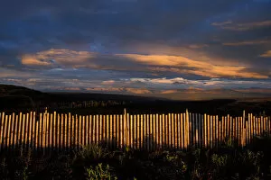 Northwest Territory Gallery: snow fence in the midnight sun, Demster highway, Yukon Territory, Canada