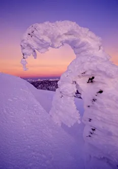 Snowghost in the Whitefish Range at Twilight in Montana Snowghost in the Whitefish Range at Twilight in Montana