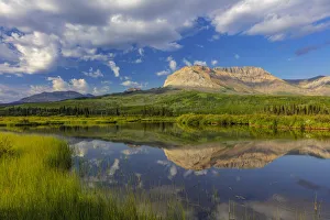 Sofa Mountain reflects into beaver pond in Waterton Lakes National Park, Alberta, Canada Sofa Mountain reflects into beaver pond in Waterton Lakes National Park, Alberta, Canada