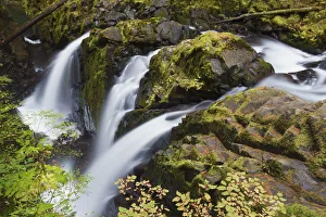 <b class=qtipBold><figcaption>Sol Duc Falls; Olympic National Park</figcaption></b><br><em>© Ken Archer / DanitaDelimont.com</em> Sol Duc Falls; Olympic National Park