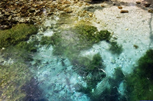 Source Blue Eye. Saranda. Republic of Albania Source Blue Eye. Saranda. Republic of Albania
