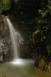 South America, Ecuador, eastern slope of the Andes, Cloud forest, San Isidro, waterfall South America, Ecuador, eastern slope of the Andes, Cloud forest, San Isidro, waterfall