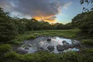 Galapagos Giant Tortoise Print: Sunset Gathering at Genovesa Island Pond