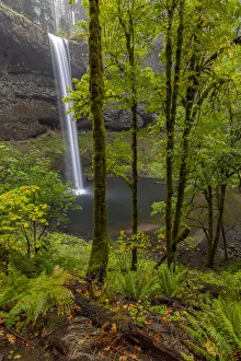 South Falls at Silver Falls State Park near Sublimity, Oregon, USA South Falls at Silver Falls State Park near Sublimity, Oregon, USA