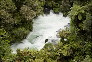 Images Dated 28th October 2012: South Pacific, New Zealand, North Island. View of Okere Falls on the Kaituna River