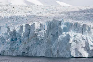 Southern Ocean, South Georgia, Drygalski Fjord, Resting Glacier Southern Ocean, South Georgia, Drygalski Fjord, Resting Glacier
