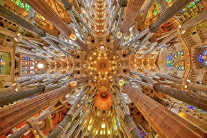 Images Dated 23rd August 2019: Spain, Barcelona. Sagrada Familia interior