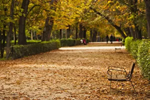 Images Dated 6th November 2011: Spain, Madrid, Parque del Buen Retiro park, fall foliage