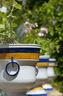 Spain, Seville. Alcazar (aka Reales Alcazares). Palace gardens, ceramic flower pot Spain, Seville. Alcazar (aka Reales Alcazares). Palace gardens, ceramic flower pot