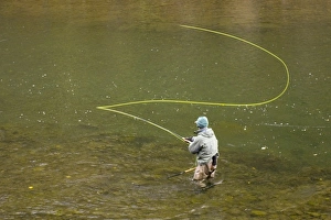 Sport fisherman fly fishing for steelhead trout in the Bulkley River, Kispiox Valley Sport fisherman fly fishing for steelhead trout in the Bulkley River, Kispiox Valley