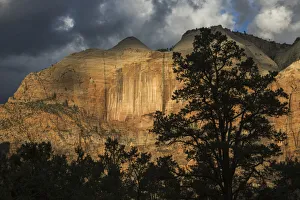 Zion National Park Gallery: Spot light on Zion