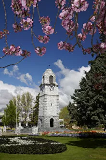 Images Dated 16th October 2011: Spring blossom and Memorial Clock Tower, Seymour Square, Blenheim, Marlborough, South Island