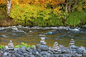 Cairn Gallery: Stacked stones on Fall-colored vine maple band of the McKenzie National Wild