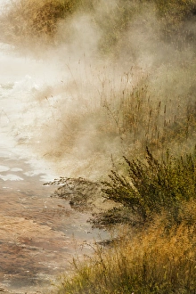 Steam at Canary Spring, Mammoth Hot Springs, Yellowstone National Park, Wyoming/Montana Steam at Canary Spring, Mammoth Hot Springs, Yellowstone National Park, Wyoming/Montana