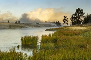 Steaming mist at sunrise along Firehole River, Yellowstone National Park, Wyoming/Montana Steaming mist at sunrise along Firehole River, Yellowstone National Park, Wyoming/Montana