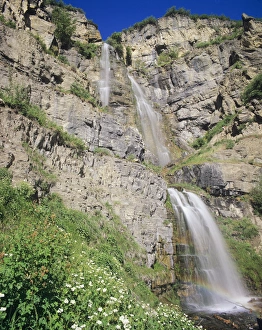 Stewart Falls and wildflowers, Near Mt. Timpanogos, Uinta Wasatch Cache National Forest Stewart Falls and wildflowers, Near Mt. Timpanogos, Uinta Wasatch Cache National Forest