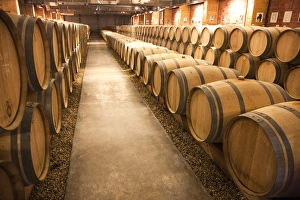 This is a storage area for wine harvested in the Haut-Medoc region of southwest France This is a storage area for wine harvested in the Haut-Medoc region of southwest France