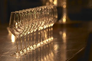 A straight row of wine tasting glasses lilned up on a dark wooden table. Ulriksdal A straight row of wine tasting glasses lilned up on a dark wooden table. Ulriksdal