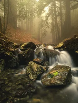 A stream meanders through a fog filled valley on coastal California near Big Sur A stream meanders through a fog filled valley on coastal California near Big Sur
