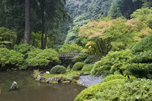 Images Dated 15th October 2011: The Strolling Pond with Moon Bridge in the Japanese Garden, Portland, Oregon