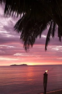 Stunning tropical sunset shinging through foliage. Beqa Island, Fiji Stunning tropical sunset shinging through foliage. Beqa Island, Fiji