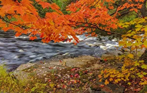 Sturgeon River in autumn near Alberta in the Upper Peninsula of Michigan, USA Sturgeon River in autumn near Alberta in the Upper Peninsula of Michigan, USA
