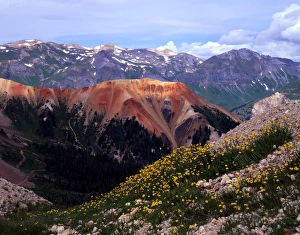 Sub-alpine buttercups and mineral-laden mountains near Ouray, Colorado Sub-alpine buttercups and mineral-laden mountains near Ouray, Colorado