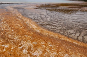 Sulphur Caldron, Yellowstone National Park, Wyoming, USA Sulphur Caldron, Yellowstone National Park, Wyoming, USA