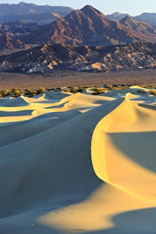 Sunrise highlights the texture along the ridgeline of a sand dune in the Mesquite Sunrise highlights the texture along the ridgeline of a sand dune in the Mesquite