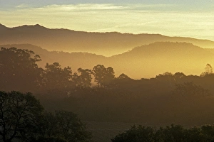 Sunrise over the hills above Napa Valley near Rutherford, Napa County, California, U.S.A Sunrise over the hills above Napa Valley near Rutherford, Napa County, California, U.S.A