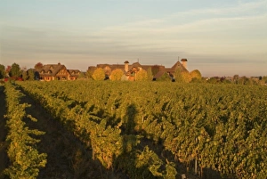 Sunrise overlooking one of the vineyards of Basel Cellars Estate Winery in Walla Walla Sunrise overlooking one of the vineyards of Basel Cellars Estate Winery in Walla Walla