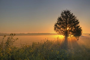 Sunrise at Prairie Ridge State Natural Area, Marion Co, IL Sunrise at Prairie Ridge State Natural Area, Marion Co, IL