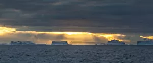 Images Dated 5th December 2010: Sunset over icebergs, Antarctica