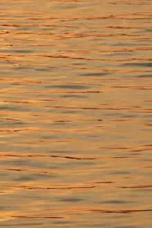 Images Dated 12th March 2016: Sunset reflections on ripples of water