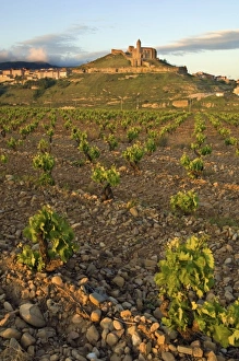 Sunset on San Vicente de la Sonsierra village perched on a hill top overlooking vineyards Sunset on San Vicente de la Sonsierra village perched on a hill top overlooking vineyards