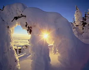 Sunset thru the Snowghosts at Big Mountain near Whitefish Montana Sunset thru the Snowghosts at Big Mountain near Whitefish Montana