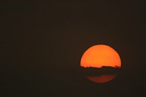 Sunset. Velavadar National Park. Gujarat. SW INDIA Sunset. Velavadar National Park. Gujarat. SW INDIA