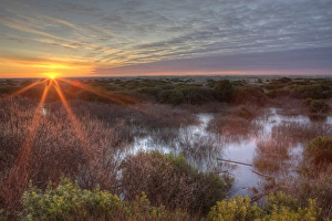 Sunset over wetlands at Ocean Shores. Washington, US Sunset over wetlands at Ocean Shores. Washington, US