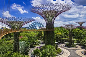 The Supertree Grove and Cloud Forest Dome from the OCBC Skyway, Gardens by the Bay The Supertree Grove and Cloud Forest Dome from the OCBC Skyway, Gardens by the Bay
