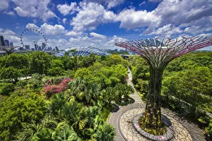 Gardens By The Bay Gallery: The Supertree Grove and downtown skyline from the OCBC Skyway at Gardens by the Bay