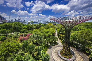 The Supertree Grove and downtown skyline from the OCBC Skyway at Gardens by the Bay The Supertree Grove and downtown skyline from the OCBC Skyway at Gardens by the Bay
