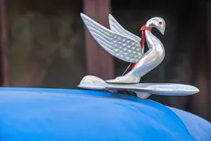 Detail of swan hood ornament usually found on classic American Packard in Vieja Detail of swan hood ornament usually found on classic American Packard in Vieja