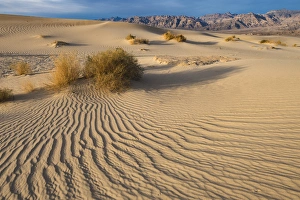 Sweeping vista of dunes, Death Valley National Park, California Sweeping vista of dunes, Death Valley National Park, California