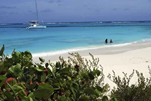 Images Dated 30th April 2012: Swimming the waters of Prickly Pear Island with Festiva Sailing Vacations (MR)