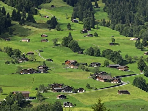 Switzerland, Bern Canton, Grindelwald, Apline farming community Switzerland, Bern Canton, Grindelwald, Apline farming community