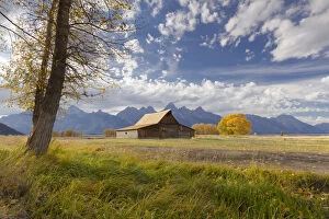 Images Dated 5th October 2015: T.A. Moulton Barn, Mormon Row, Grand Teton National Park, Wyoming, USA