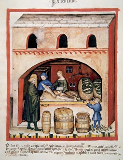 Tacuinum Sanitatis. Medieval Health Handbook, dated before 1400, based on observations Tacuinum Sanitatis. Medieval Health Handbook, dated before 1400, based on observations