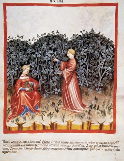 Tacuinum Sanitatis. Medieval Health Handbook, dated before 1400, based on observations Tacuinum Sanitatis. Medieval Health Handbook, dated before 1400, based on observations